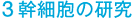 3幹細胞の研究