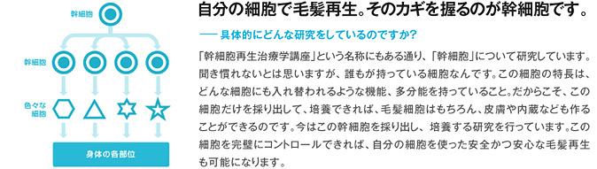 自分の細胞で毛髪再生。そのカギを握るのが幹細胞です。 具体的にどんな研究をしているのですか？ 「幹細胞再生治療学講座」という名称にもある通り、「幹細胞」について研究しています。聞き慣れないとは思いますが、誰もが持っている細胞なんです。この細胞の特長は、どんな細胞にも入れ替われるような機能、多分能を持っていること。だからこそ、この細胞だけを採り出して、培養できれば、毛髪細胞はもちろん、皮膚や内蔵なども作ることができるのです。今はこの幹細胞を採り出し、培養する研究を行っています。この細胞を完璧にコントロールできれば、自分の細胞を使った安全かつ安心な毛髪再生も可能になります。