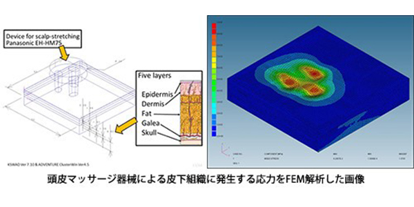 第22回毛髪科学研究会で研究発表