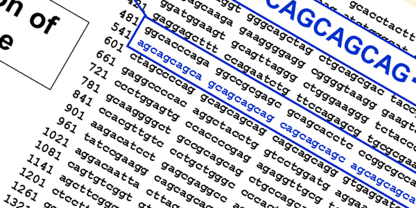 「将来のAGAになりやすい傾向と薬剤の効きやすさを遺伝子によって予測」アンドロゲンレセプターの遺伝子検査