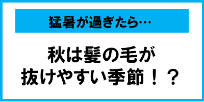 猛暑が過ぎたら… 【今年の秋は、とくに抜け毛が増える？！】 毎日無理なく続けられる、薄毛・抜け毛対策とは