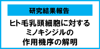 ヒト毛乳頭細胞に対するミノキシジルの作用機序の解明