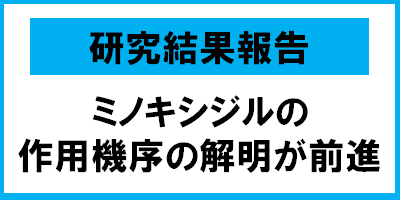 日本で発毛効果が認められている唯一の成分「ミノキシジル」の作用機序の解明が前進 発毛メカニズムを解明し、新しい発毛剤の可能性を探索