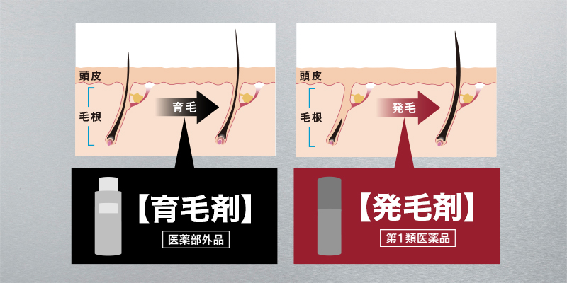 “育毛剤”と“発毛剤”の違いってご存知ですか？ 　９０％の人が違いを知らないという事実！