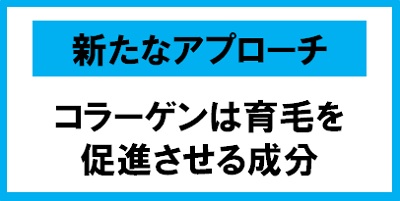 新たな育毛のアプローチ 「コラーゲンが育毛を促進させる成分であること」を発見 　ゲットウ葉エキスとメリッサエキスの混合エキスがコラーゲン産生を促進