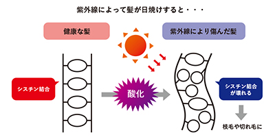 夏の頭皮環境に要注意！ 紫外線と汗に共通する落とし穴とは・・・？！