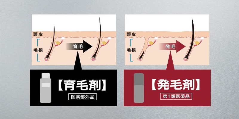 【育毛剤と発毛剤に関する調査を実施】　育毛剤と発毛剤について正しく理解している人は、わずか６％ 　発毛成分“ミノキシジル”の理解度は、４人に１人！