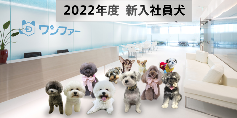 スカルプDから犬用シャンプー発売に伴い 社名変更「アンファー」⇒「ワンファー」へ 2022年4月1日　新入社員犬として犬を雇用