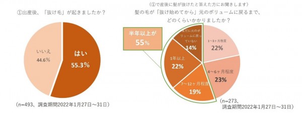 グラフ画像