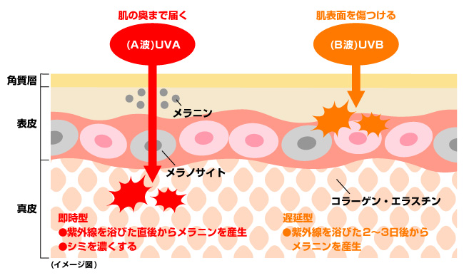 ストレスもシミの原因に