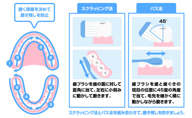 ①正しい歯磨きの仕方をおさらい！