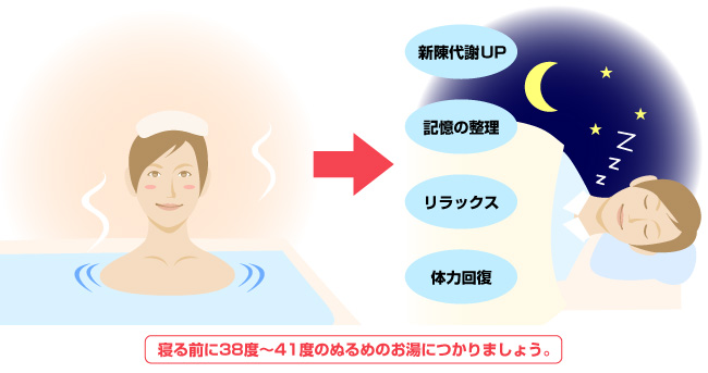 質の高い睡眠で、海馬の若返りを！