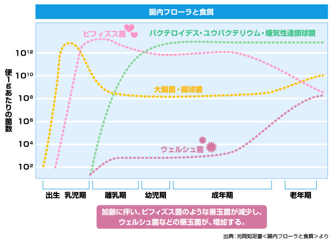 お通じがあっても便秘？