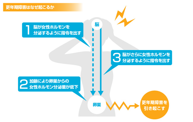 卵巣の衰えが引き金に！？