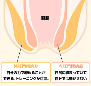 筋力が弱まっている