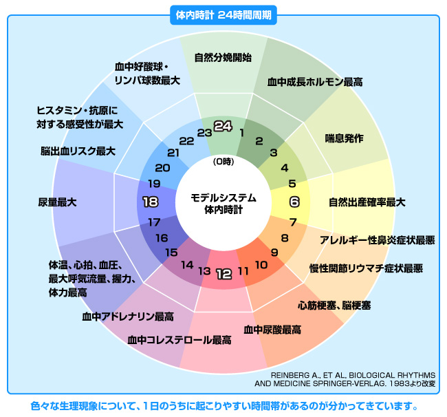 歳をとると朝型の生活になる！？