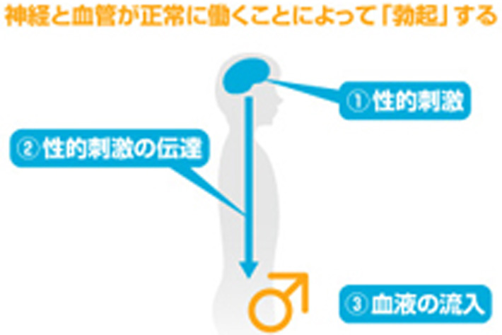 最近十分に勃起しないことがある