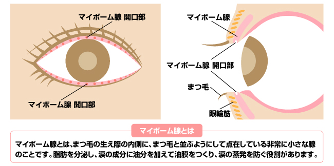 目ヂカラをつけるアイメイクが危ない!?