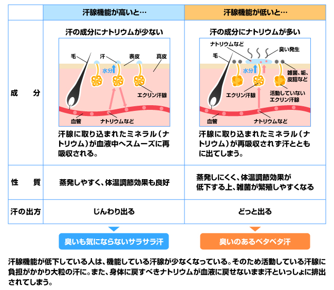 汗をかかない快適生活の代償！？