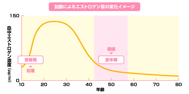 女性特有の見た目の若々しさが減少してしまうかも!?