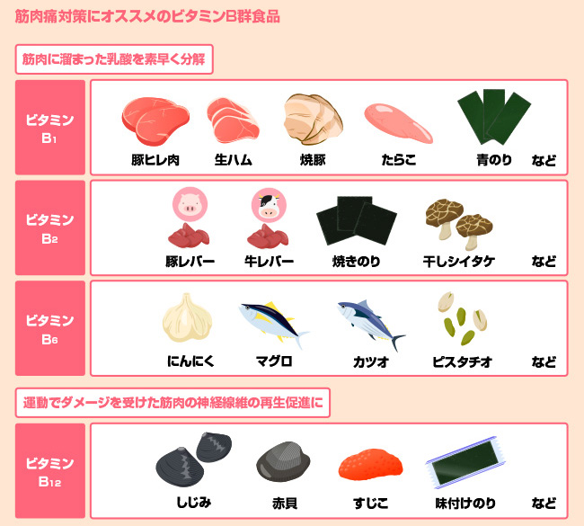 ビタミンB群で筋肉痛を早く緩和しよう