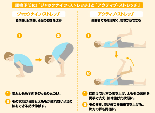 慢性的な腰痛持ちの母 何だか背も縮んできたみたい アンファーからだエイジング 専門ドクター監修