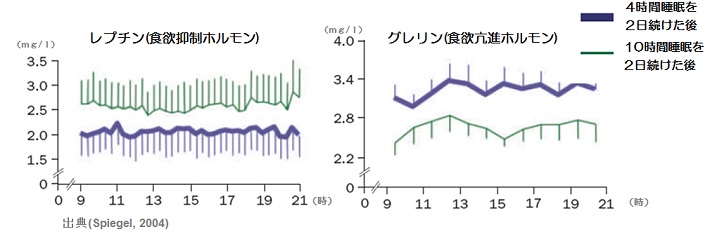 レプチン（食欲抑制ホルモン）とグレリン（食欲亢進ホルモン）