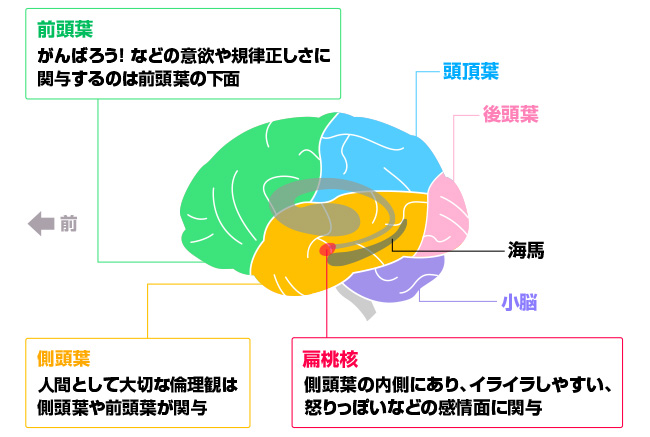 怒り っ ぽく なる