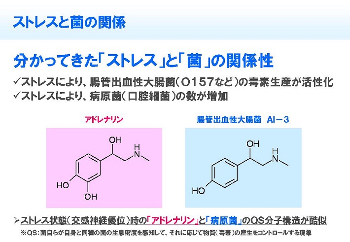 ストレスと菌の関係