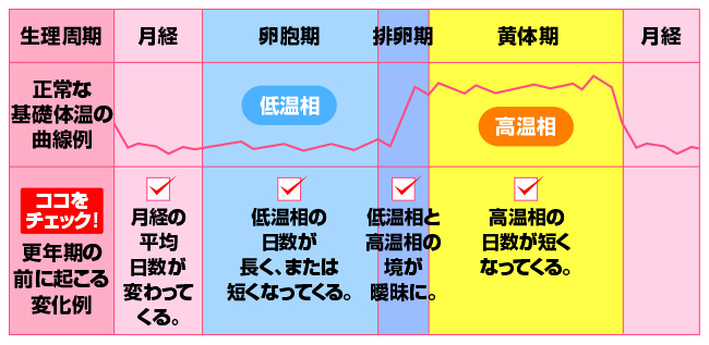 基礎体温を測ると、ホルモンバランスの乱れが一目瞭然