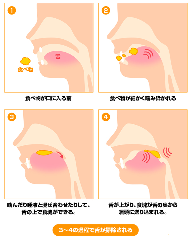 ツルっとのど越しのいい食材は、舌の掃除をしない