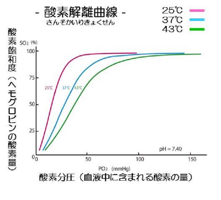 酸素解離曲線（さんそかいりきょくせん）