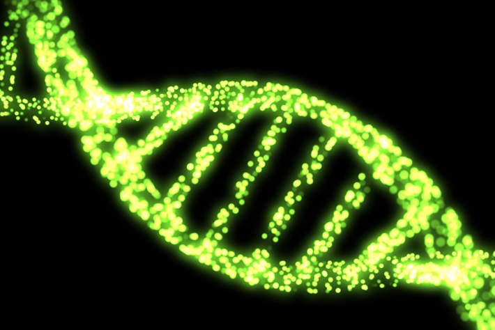 注目の遺伝子検査や最新血液検査。知っておいて損はない、大事なポイント