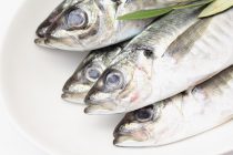 【意外と知らない油の力３】 “魚を食べると頭が良くなる”はオメガ３系油のEPAやDHAのおかげ!?