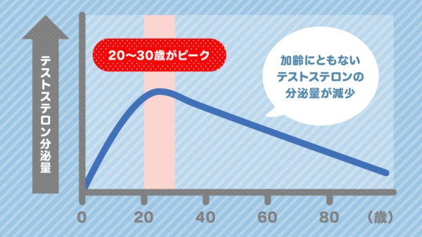 テストステロンの分泌量