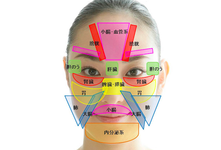 顔の反射区と比例する！