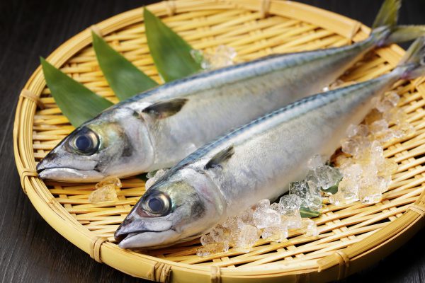 髪と地肌のために積極的に摂りたい栄養素と食材