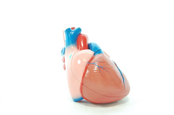 心臓の冠動脈が機能低下して起きる狭心症